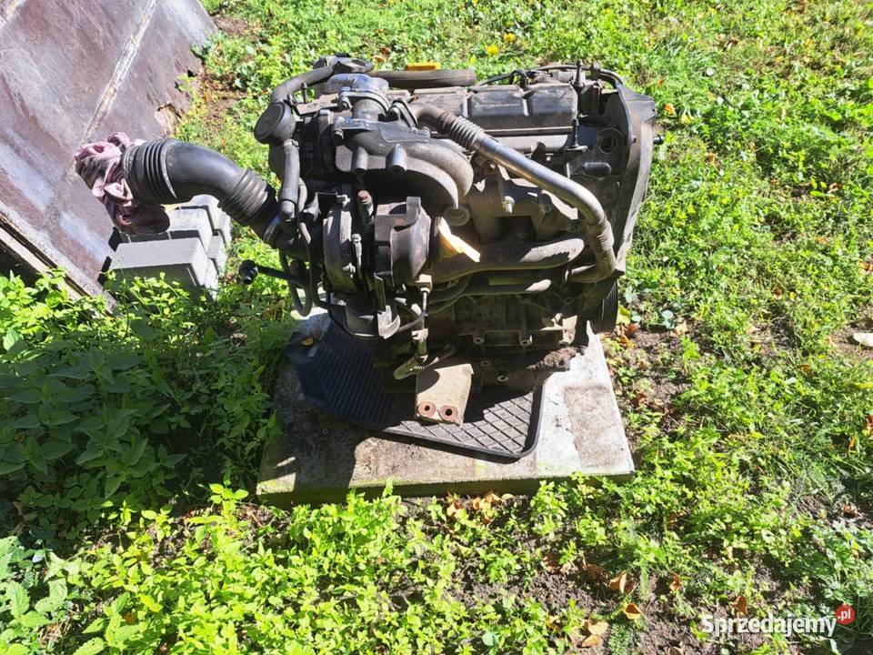 Silnik 19 dci 130 2005r lift 9
