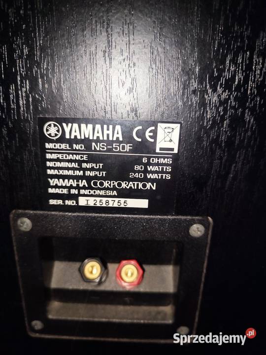 Kolumny podłogowe YAMAHA HS50F 2x80watt kujawsko-pomorskie