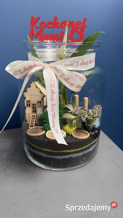 Las w szkle GOTOWA KOMPOZYCJA PREZENT Z dolnośląskie Oborniki Śląskie