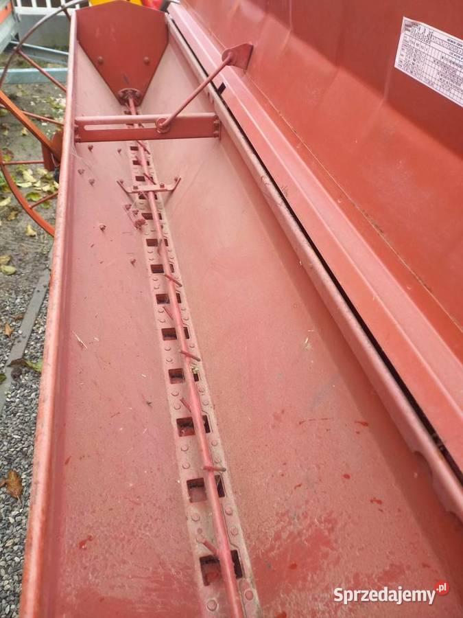 Siewnik żelazny Siewniki Ogród