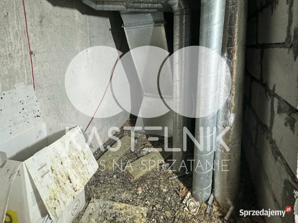 Sprzątanie gołębiach Lubartów Kastelnik mycie