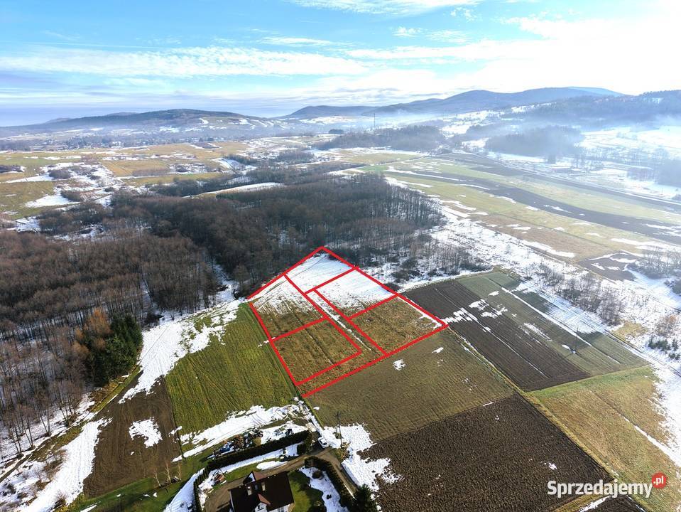 Działki budowlane Kryg gmina Lipinki Sprzedaż