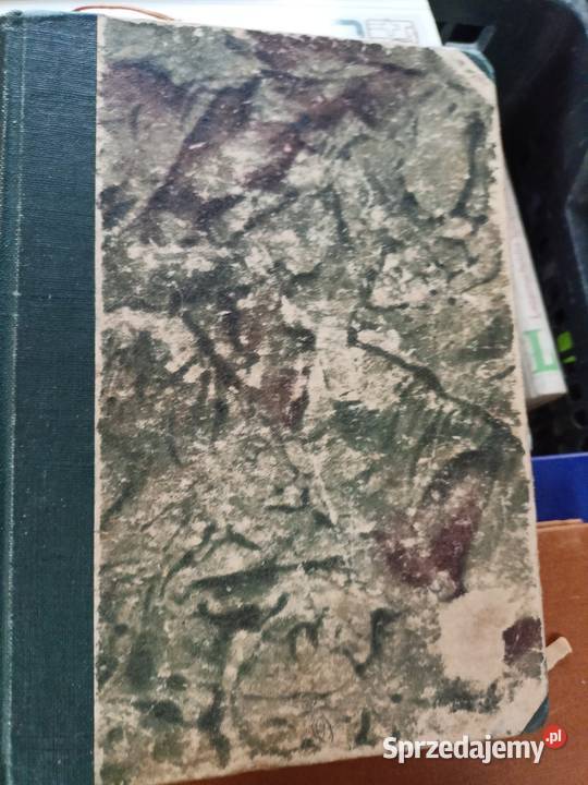 Popiół i diament Książki pierwsze wydanie Książki i Podręczniki mazowieckie Warszawa