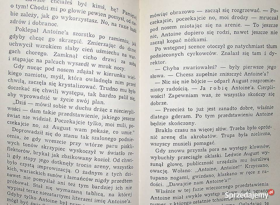 x L Uśmiech u stóp drabiny Miller sprzedam