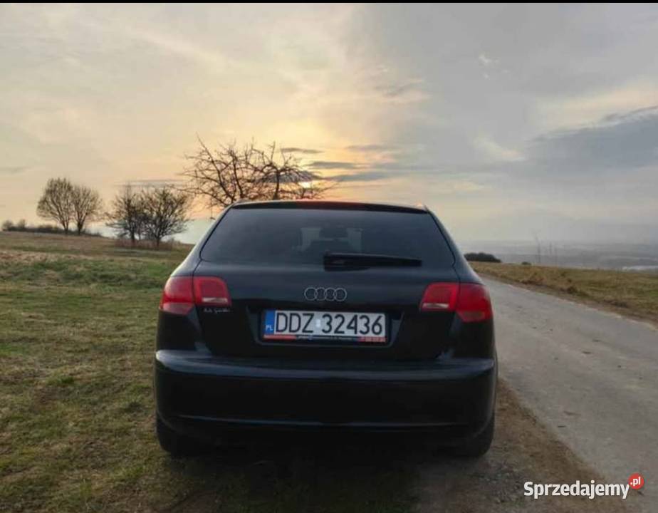 Audi A3 8P 19 TDI 105