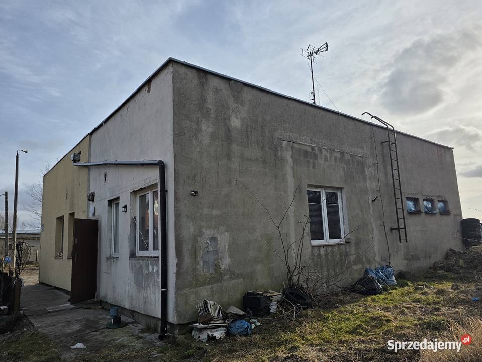 Syndyk sprzeda udział 718 w lokalu mieszkalnym udział warmińsko-mazurskie Gronowo Górne