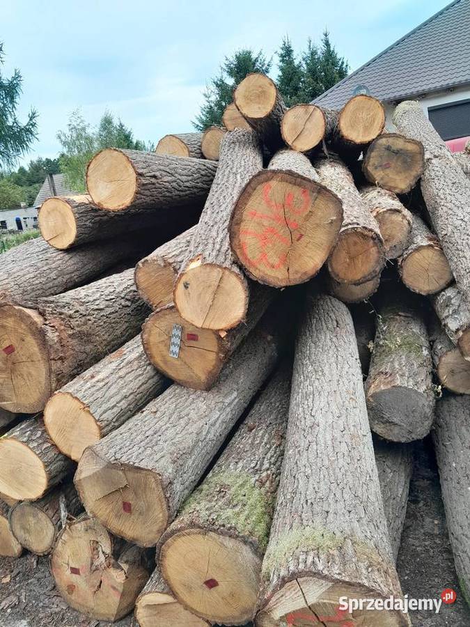 Tarcica dębowa Gulcz