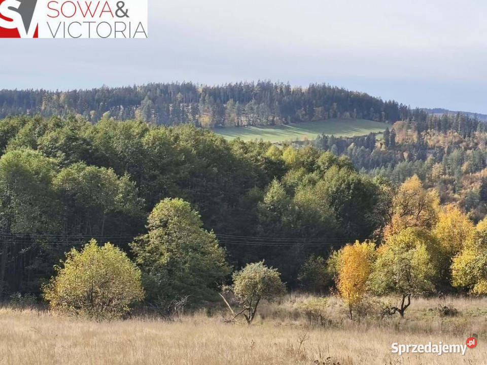 Urokliwa przestrzeń mieszkaniowa pod inwestycje