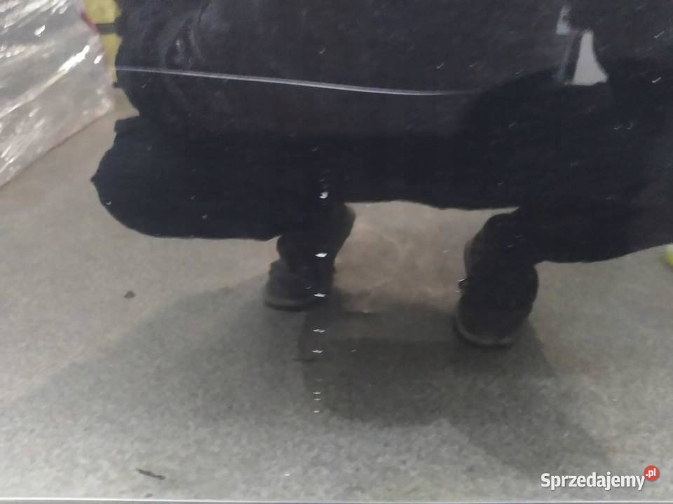 DRZWI LEWE PRZÓD LC9Z VW Volkswagen Touareg I