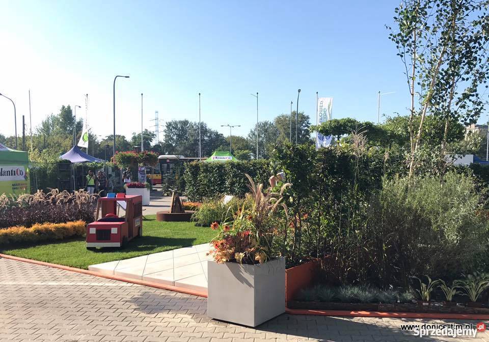 Duża donica na drzewo Gajewo