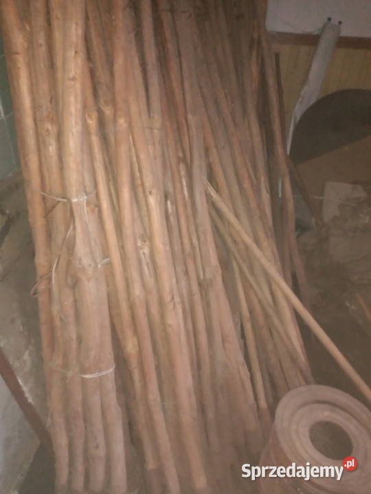 Tyczki paliki kostury Leżajsk