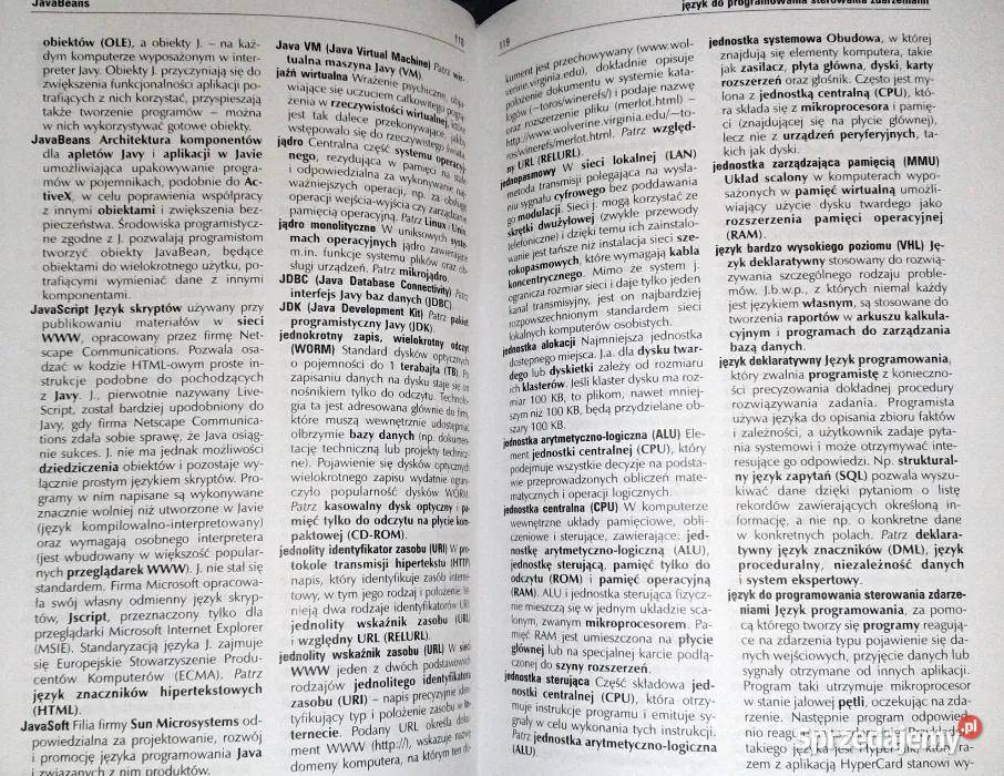 Słownik terminów komputerowych Bryan Rok wydania 2001