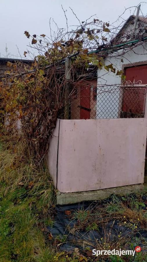 Działka RODPrzyszłość Brzeg Dolny