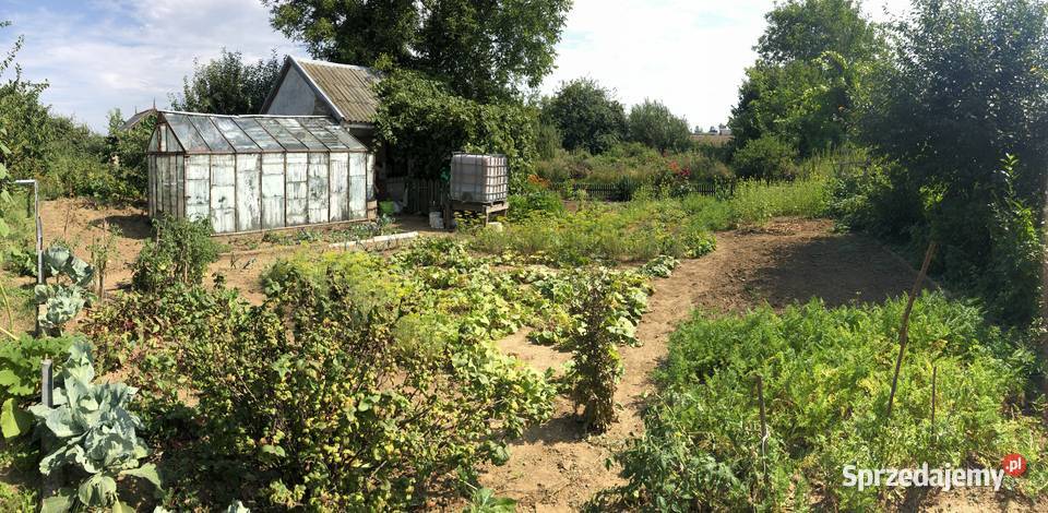 Odstapie ogródek ROD w Nowym Dworze Gdańskim