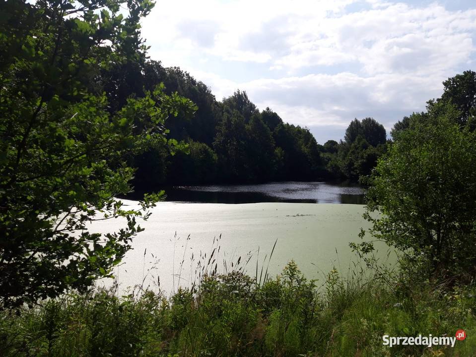 Działka budowlana z dostępem do jeziorka budowlana zachodniopomorskie Czarnkowie sprzedam