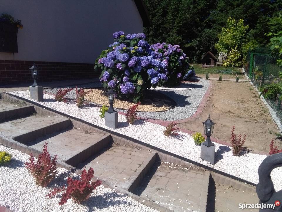 firma ogrodnicza Rzeszów
