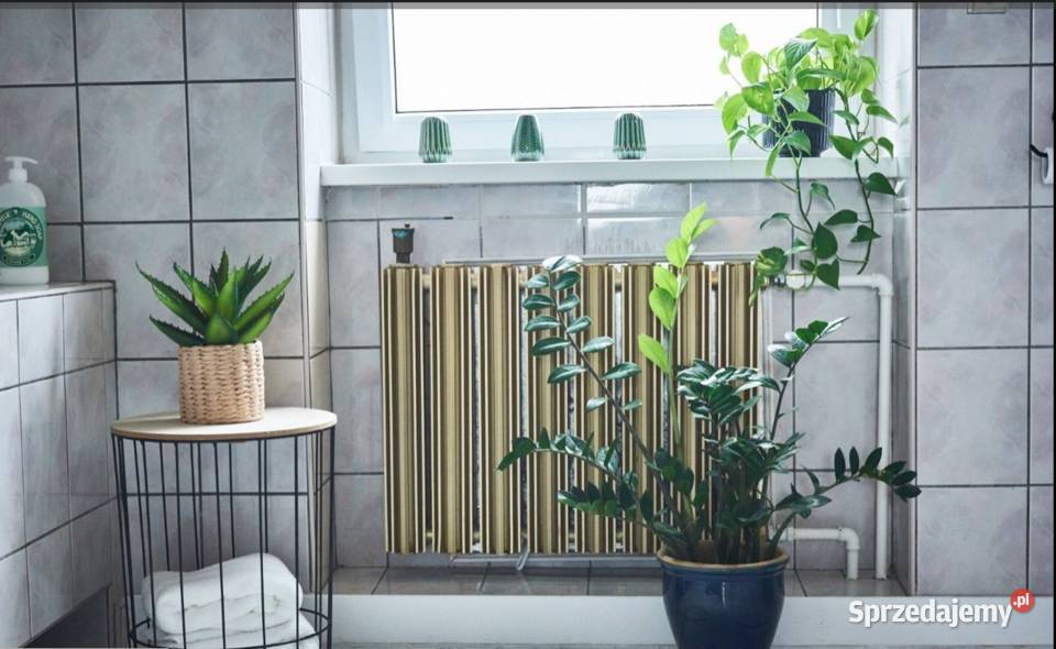 3pok 64met Ceglanej ROZKŁAD Legnica kamienica dolnośląskie