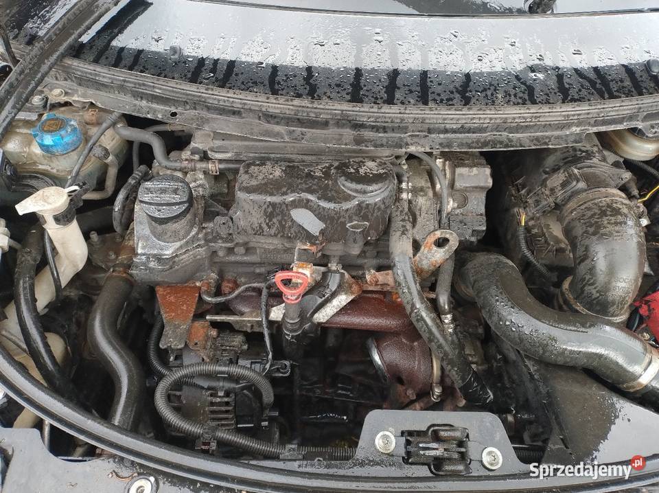 Smart Forfour 15 CDI w454 Części Wysyłka Elbląg