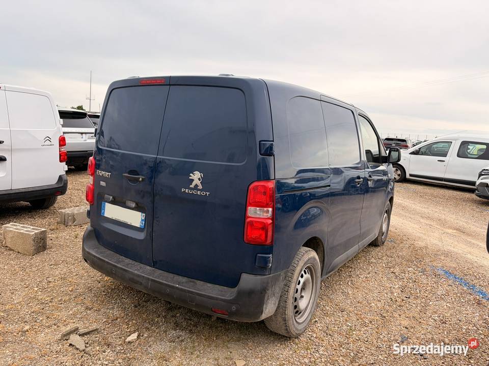 PEUGEOT Expert III 20 BlueHDi 180 BVA EP156 Słubice