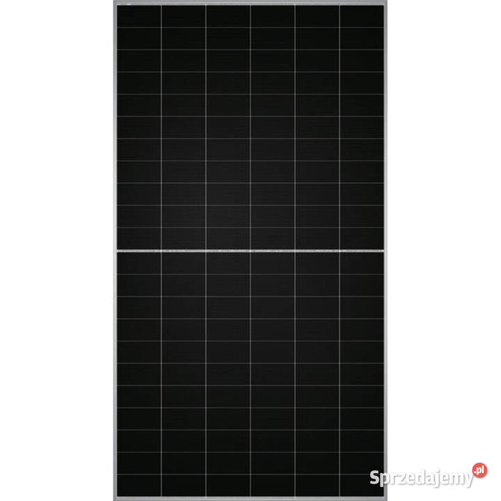 Panel Fotowoltaiczny TW Solar 725W bifacial N
