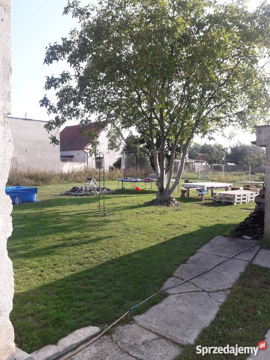 dom na sprzedaż wolnostojący Domy Wawelno