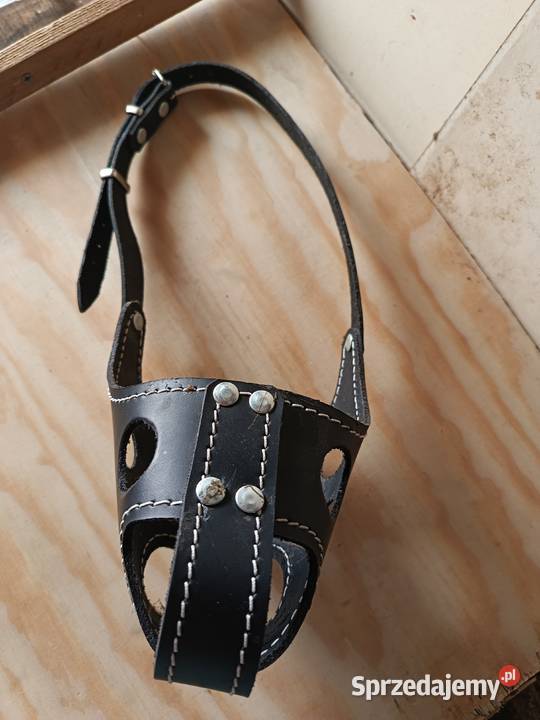 Kaganiec psa skórzany zabudowany sprzedam