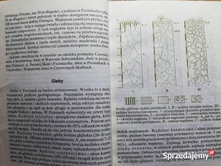 Pieniny Władysław Strojny przewodnik Kraków sprzedam