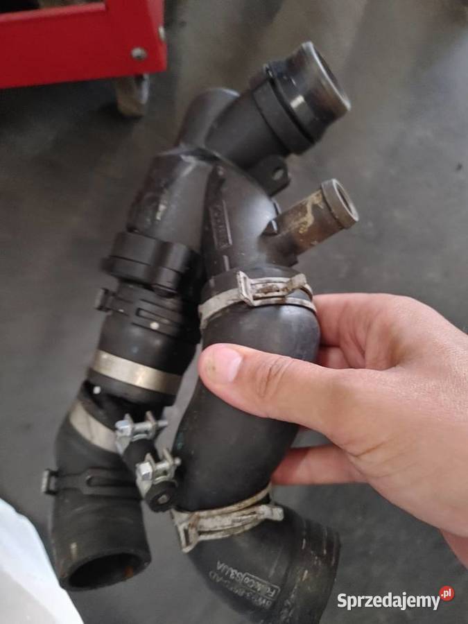 Waz termostad jaguar xj 351 50 385 Krosno