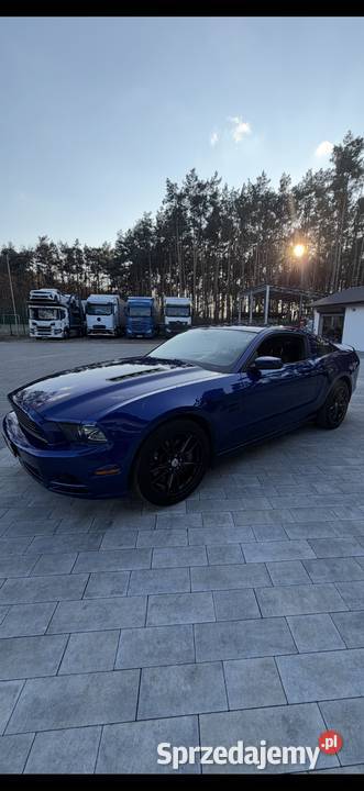 Ford Mustang GT V8 50 Mustang Gizałki sprzedam
