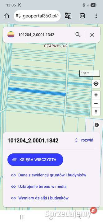 Sprzedam działkę rolną i działki leśne 5zł/m2 Radomsko