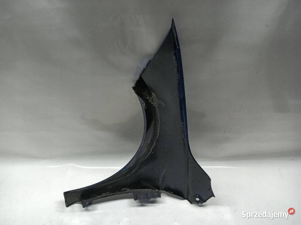 BŁOTNIK PRAWY PRZÓD PRZEDNI VW POLO 6 2G0821106