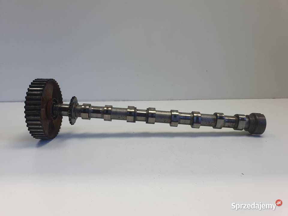 Peugeot Citroen Ford Volvo 20 HDI tdci WAŁEK lubelskie Chełm sprzedam