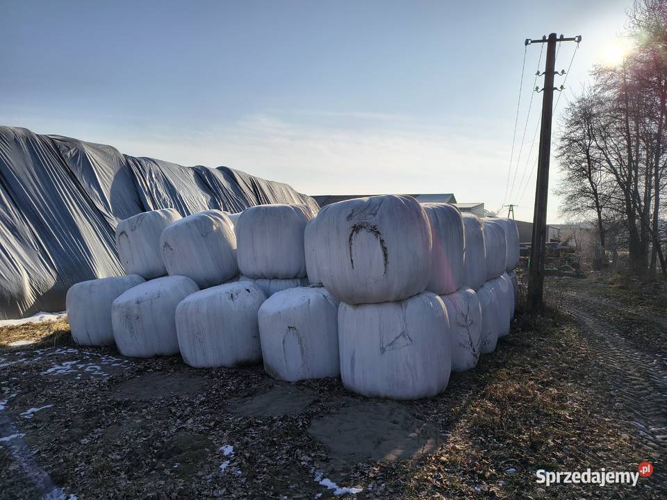 Sprzedam sianokiszonkę Trawy, słoma Radoszewice