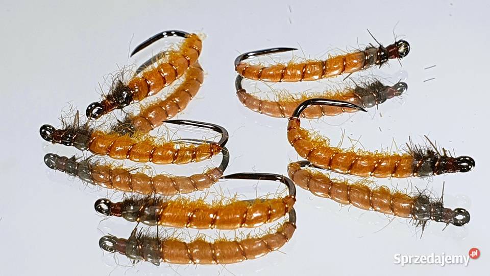 Sztuczne muchy nimfy larwy dolnośląskie Leśna sprzedam