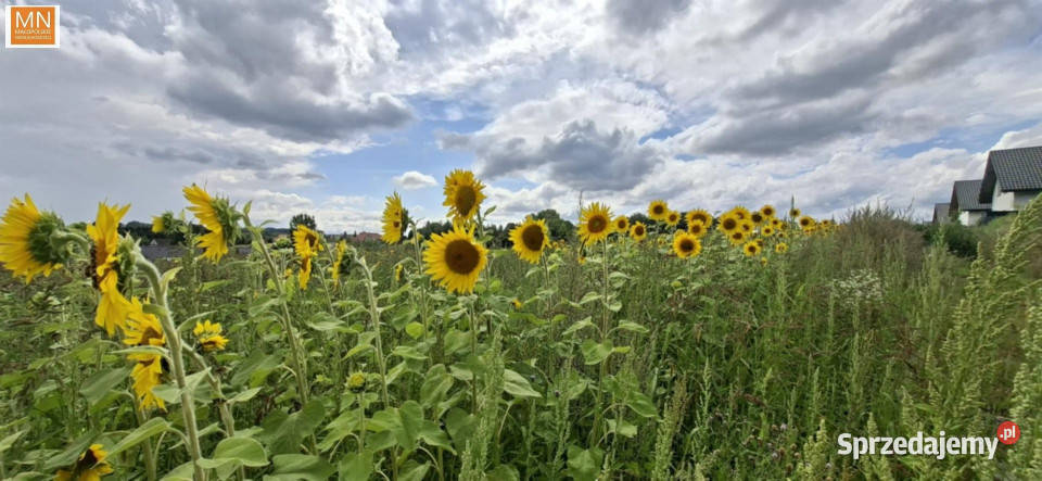 Grunt na sprzedaż Łuczyce Pod Lasem 698m2 Sprzedaż