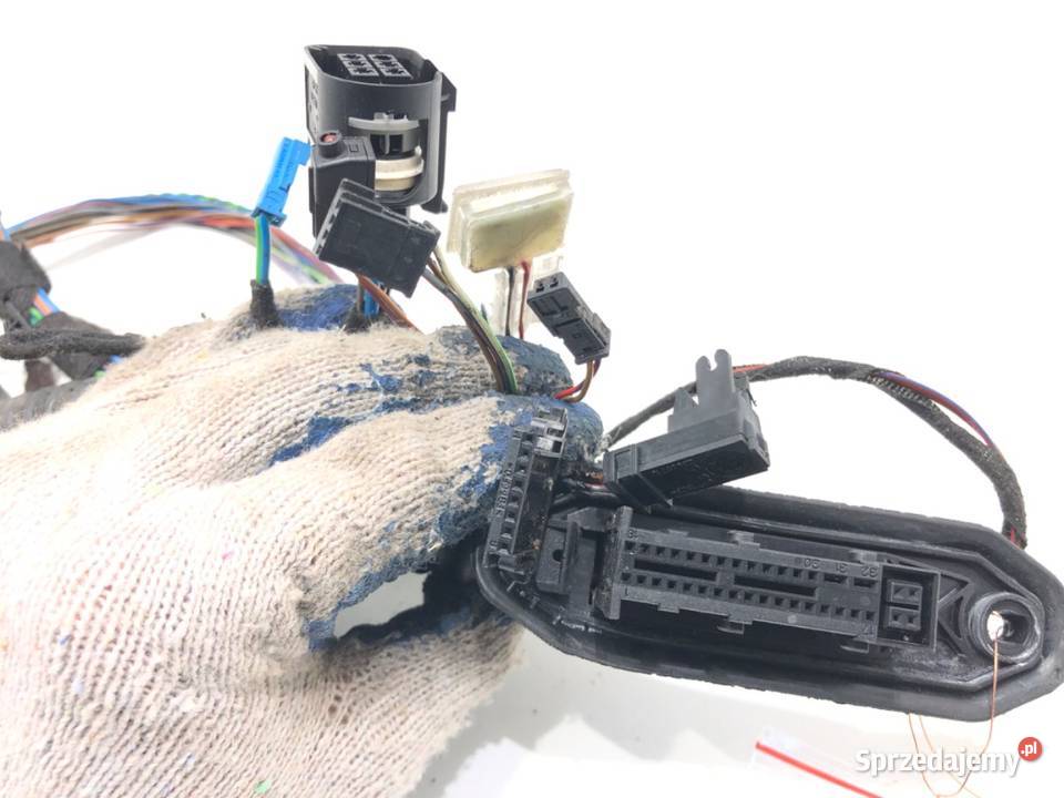 WIĄZKA DRZWI TYŁ PRAWY BMW E71 7209884 30 245 podkarpackie