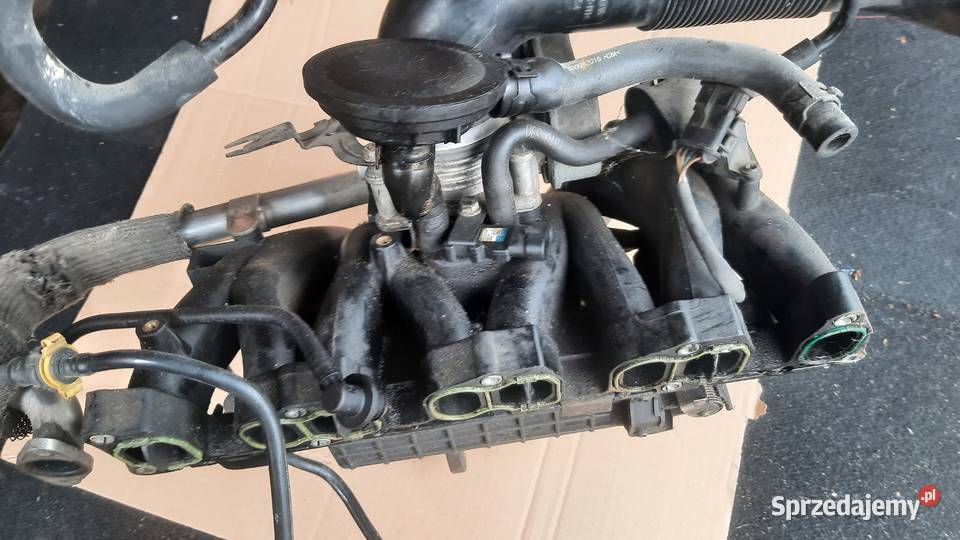 Kolektor ssący opel Zafira b 22 16V direct osobowe Dębno