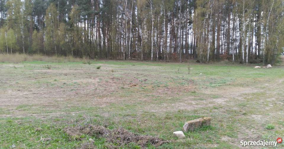 Działka budowlana w Stanisławowie k Warszawy 100zł/m2 Stanisławowo