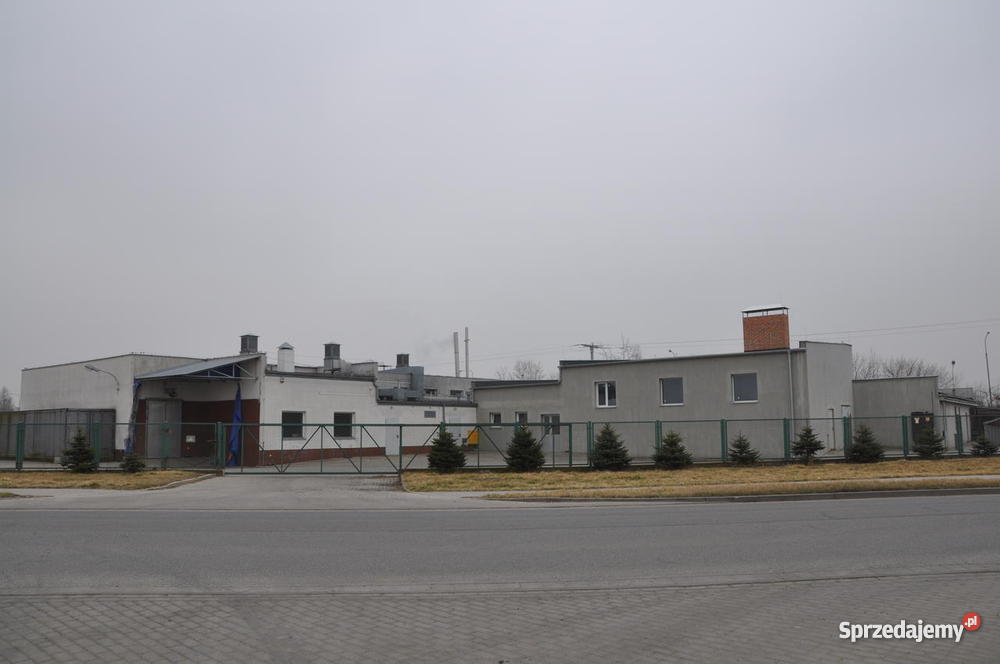 DOCHODOWY ZAKŁAD MIĘSNY Jelcz-Laskowice sprzedam
