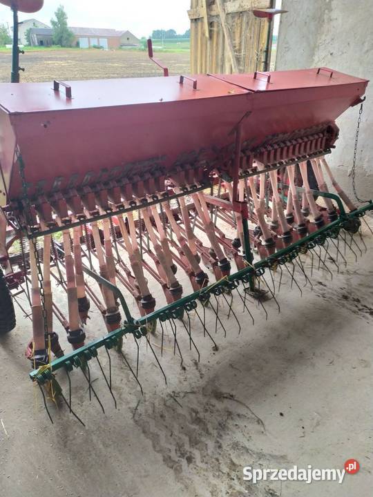 Siewnik pozniak wielkopolskie Koło