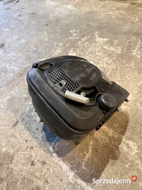 Silnik Briggs Stratton 1247020256H1 do kosiarki Dom i Ogród Opole