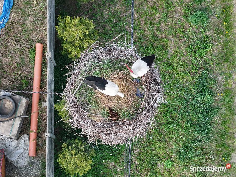 Drony DJI Prezentacja loty zapoznanie z Dąbrowa Górnicza