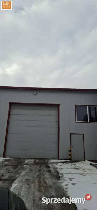 Wynajem lokalu Kazimierza Wielka 1175m2