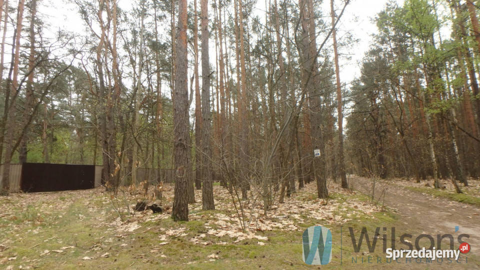 sprzedaży działki 2784m Warszawa