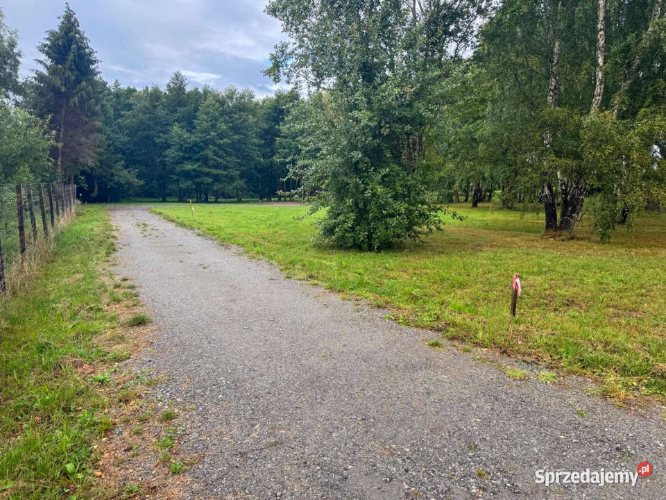 Działka budowlana w Jarosławcu piaszczystej Sprzedaż Jarosławiec