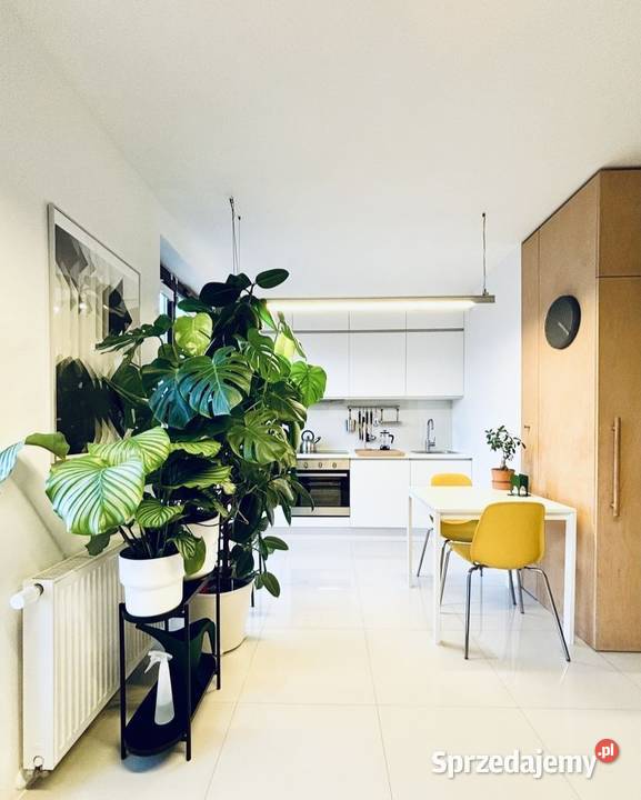 1pok 33met Traugutta ANTRESOLA TARAS PARKING Liczba pokoi 1 Sprzedaż dolnośląskie Wrocław