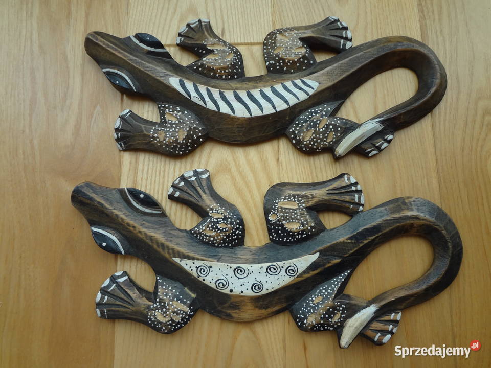 salamandry jaszczurki Wrocław