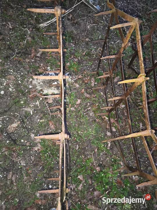 Brony konne 3 podkarpackie