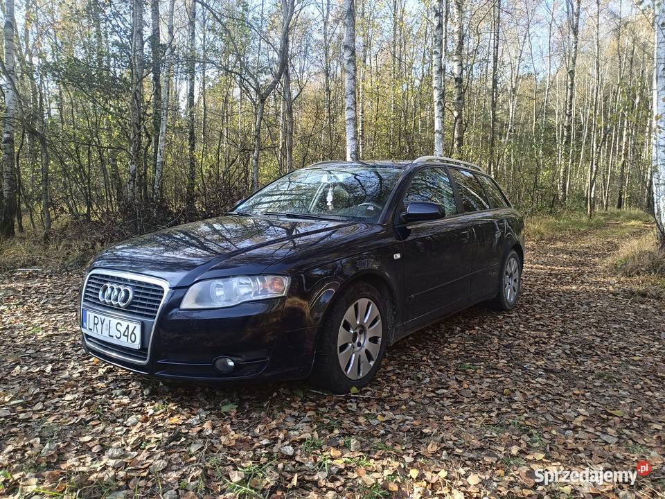 Audi a4b7 A4 Terespol