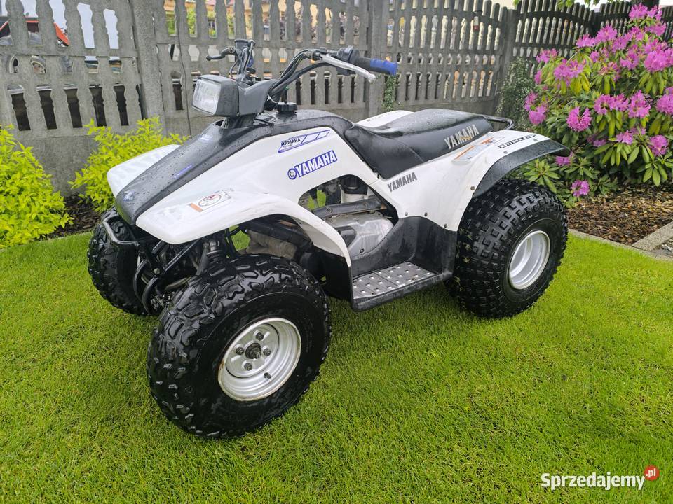 Yamaha breeze 125 quad 125 raptor lubelskie Janów Lubelski